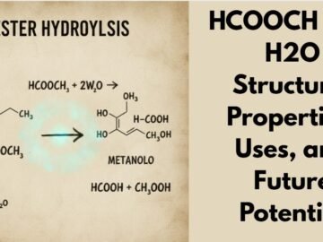 hcooch ch2 h2o