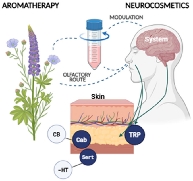 Japanese head spa benefits